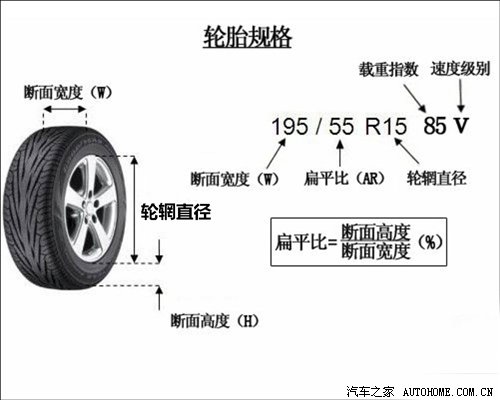 半岛游戏平台从颜色到结构：全面解析轮胎的秘密(图19)